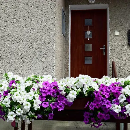 Apartman Martin Appartement *